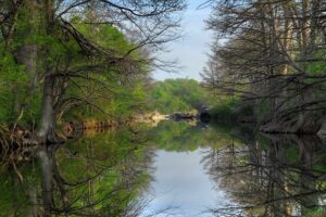 can you swim at mckinney falls state park