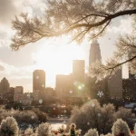 Frosty tree branch twinkling with Christmas lights under a sunny Austin sky with snowflakes falling and festive décor.