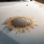 Car hood showing dried tree sap stain with weathered patch and surrounding grime in warm natural light
