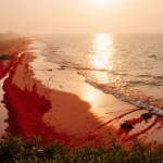 Rainfall splashing red soil onto the beach with golden light illuminating crimson streams flowing into the Persian Gulf