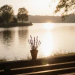 Wooden bench sits with a lavender pot beside a calm lake at dawn