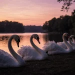 Dead swans lie in a row along the lake shore with wet feathers and a sunset glow while swans stand vigil with trees behind.
