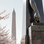 Woman hand grasping a ballot box with warm sunlight on arm and cherry blossoms around stone monument near Washington Monument