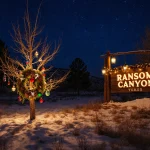 Snow-covered tree stands with colorful ornaments and wreath beside wooden town sign lit by string lights under indigo sky.