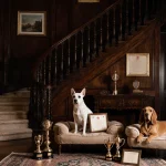 Dogs sit proudly on elegant beds with AKC certificates and trophies in a historic mansion hallway