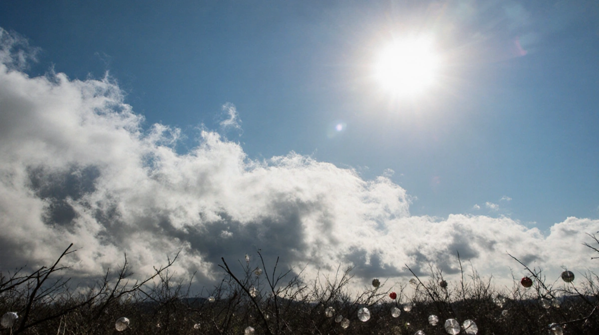 Sun shines brightly with clear blue sky and wispy gray clouds and wind-blown branches.